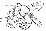 Coloring Bumblebee sketch template