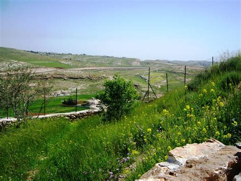 beit sahour shepherds field bethlehem israel trip israel travel bethlehem palestine feed