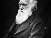 compare darwins theory  evolution  lamarcks theory  evolution