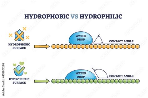 obraz hydrophobic  hydrophilic surface drop effect outline diagram