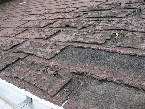 filefailure  asphalt shingles allowing roof leakagejpg wikimedia commons