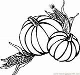 Corn Pumpkins Thanksgiving Coloring Printable Pages Color Holidays sketch template