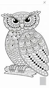 Owl Mandala Mandalas Owls Adults sketch template