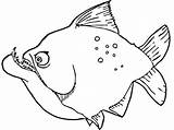 Piranha Coloring Pages Printable Fish Piranhas Color Drawing Popular sketch template