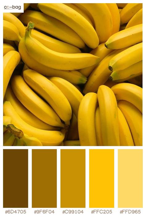 yellow banana color palettes   desain inspirasi desain grafis