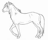 Kleurplaat Paard Tekeningen Sjablonen Welsh Coloring sketch template