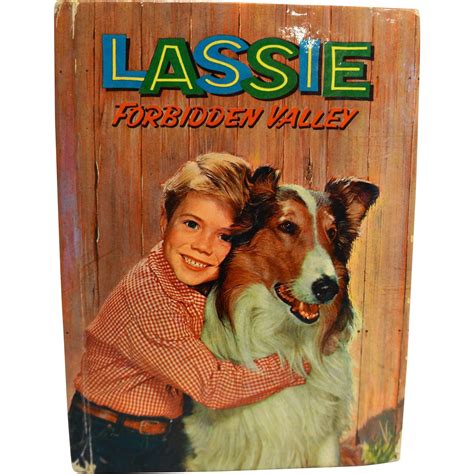 Lassie Forbidden Valley 1959 Hardcover Book Doris Schroeder Hoosier