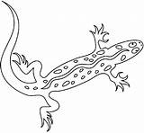 Lizard Colornimbus sketch template