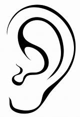 Clipart Ear Library sketch template