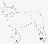 Terrier Cairn sketch template
