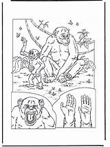 Scimmie Stampare sketch template