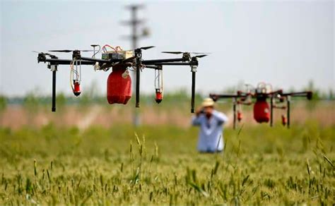 drones en agricultura todo lo  necesitas saber sobre sus funciones avances  precios