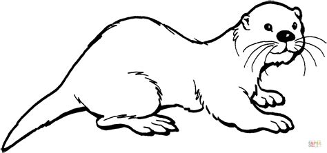 otter  coloring page  otters category select   printable