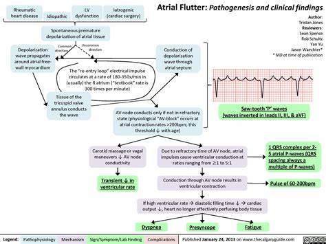 atrial flutter calgary guide