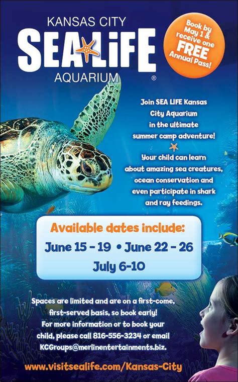 sea life aquarium   ultimate summer camp adventure