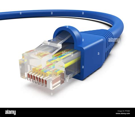 blue ethernet connection cable isolated  white background