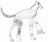 Cheetah Drawing Baby Simple Line Jeane Nevarez Getdrawings Cheetahs Lesson sketch template