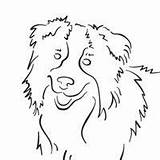 Border Coloring Collie Pages Collies Surfnetkids Dog Australian Shepherd Color Printable Drawing Drawings Dogs Cute Simple Sheep Choose Board sketch template