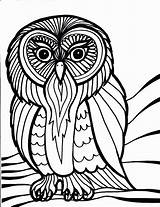 Coloring Pages Owl Bird Printable Kids Owls Print Book Birds Printables Barn Hard Colouring Sheets House Peacock School Simple Clipartbest sketch template