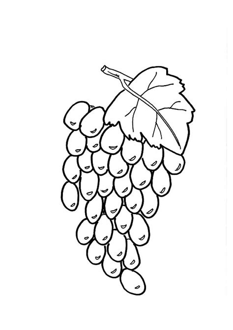healthy fruit coloring pages coloring pages
