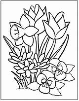 Coloring Pages Flowers Pdf Printable Color Getcolorings Print Unique Stock sketch template