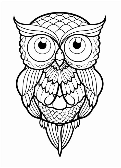simple cute owl drawing  getdrawings