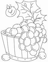 Coloring Grapes Pages Kids Grape Tub Vine Color Printable Sheets Clipart Drawing Colouring Number Books Vines Book Wine Poster Worksheets sketch template