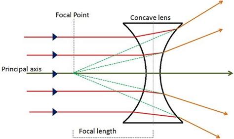 difference  convex  concave lens  figure   comparison chart key