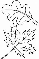 Coloring Pages Fall Autumn Leaves Kids Leaf Printable Choose Board sketch template