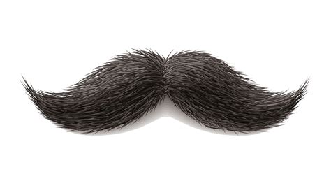 mexican mustache png png image collection