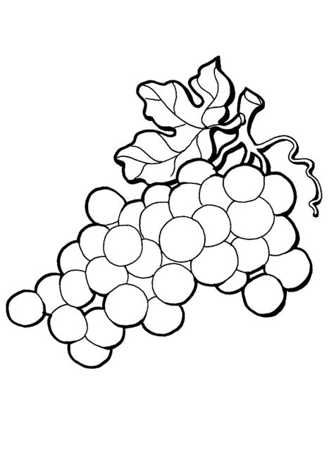 coloring pages grapes coloring page  kids