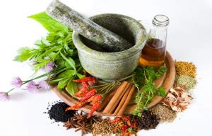 ayurvedic medicine wholesalers  delhi top herbal companies  delhi