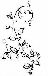 Vines Vine Rose Sketch Drawing Drawings Ivy Flower Easy Flowers Draw Sketches Getdrawings Paintingvalley sketch template