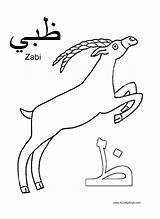 Arabic Alphabet Zabi Acraftyarab Arabe Multicultural Lettres sketch template
