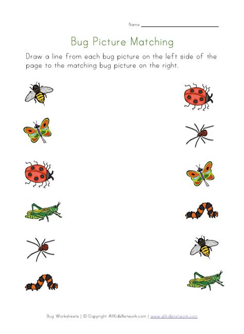 images   printable bug worksheets  beginning letter