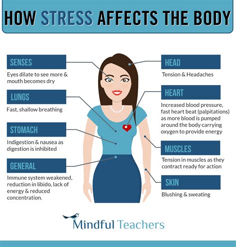 stress affects  body mindfulteacherscom