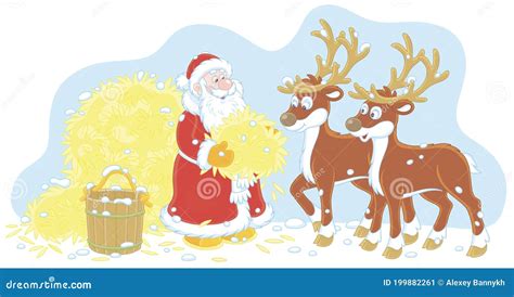 Santa Claus Feeding His Reindeer With Hay Stock Vector Illustration