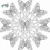 Mandala Coloring Butterfly Pages Printable Animal Template Book Butterflies Library Clipart Getdrawings Popular sketch template