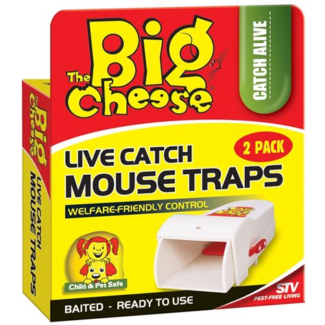 big cheese  catch mouse trap  pack bunnings warehouse