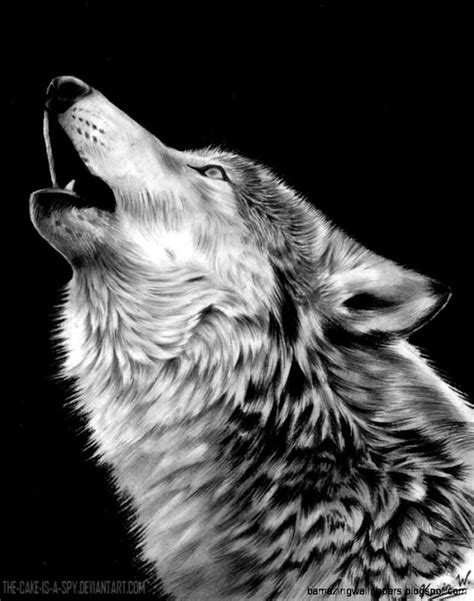 Wolf Howling Tumblr Amazing Wallpapers