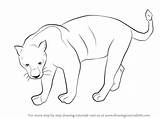 Panther Drawing Draw Step Animals Line Drawings Wild Animal Schwarzer Cartoon Zeichnen Zeichnung Panthers Sketches Drawingtutorials101 Pencil Zoo Zum Cute sketch template