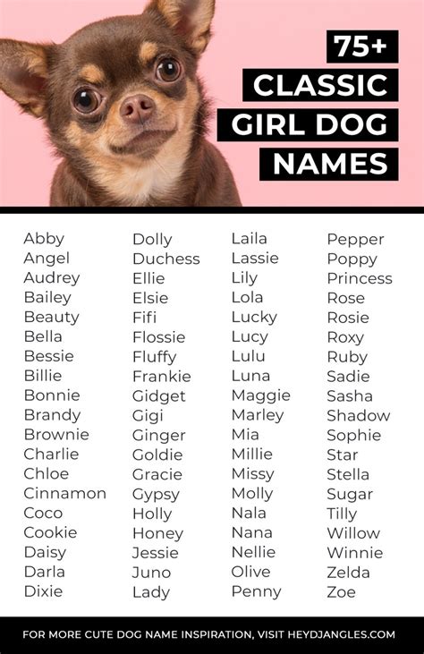 classic girl dog names  timeless puppers hey djangles