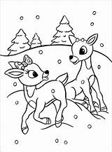 Coloring Rudolph Christmas Pages Reindeer Template Red Nosed Printable Deer Kids Sheets Worksheets Clarice Colouring Color Books Adult Santa Print sketch template