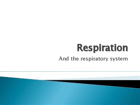 respiration   respiratory system respiration occurs