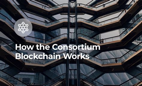 consortium blockchain works intellectsoft blockchain lab