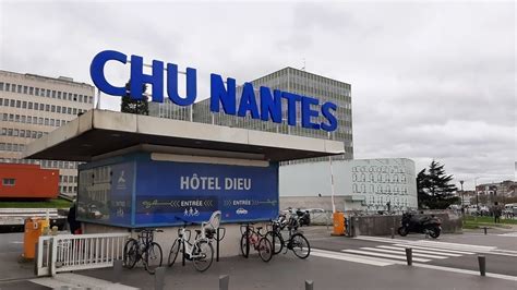 Pma Au Chu De Nantes Plus De 100 Naissances Depuis La Modification De