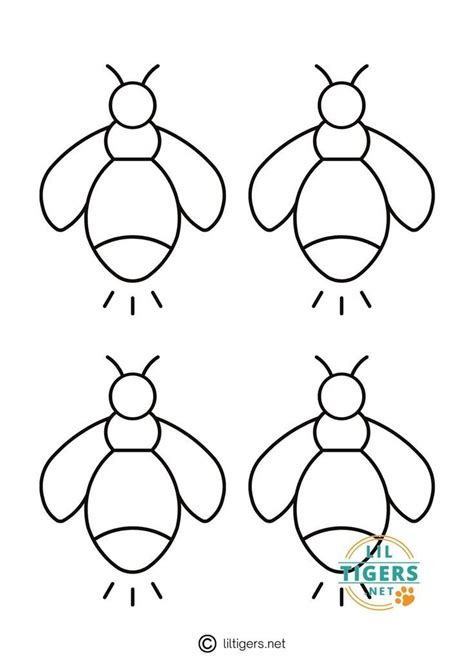 printable firefly templates fireflies craft bug coloring pages