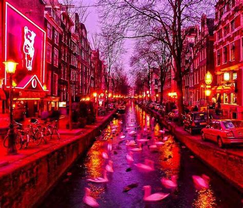 Follow Our Amsterdam Red Light District Facebook Page Amsterdam Red