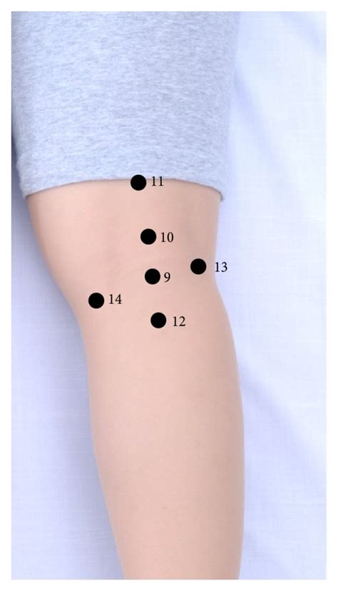 pressure points located    knee  posterior aspect