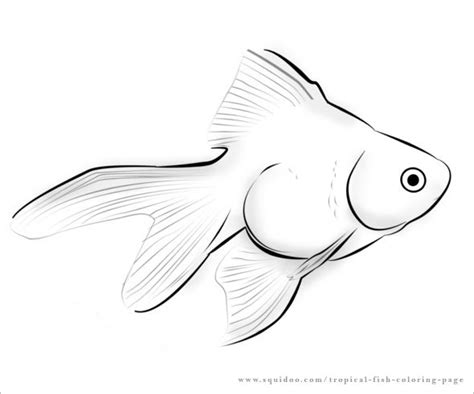 tropical fish coloring page fish coloring page fish drawings animal